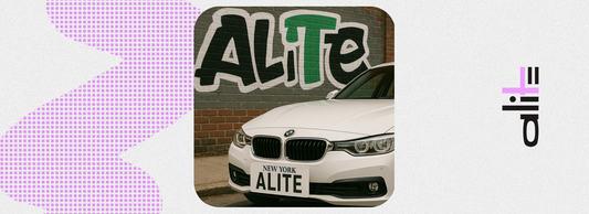 licence plate mount