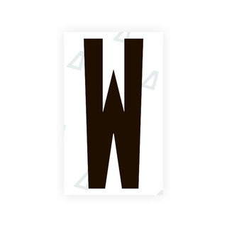 Nanofilm Ecoslick™ for US (Texas) license plates - Symbol "W"