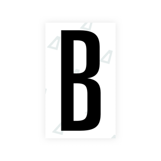 Nanofilm Ecoslick™ for US (Texas) license plates - Symbol "B"