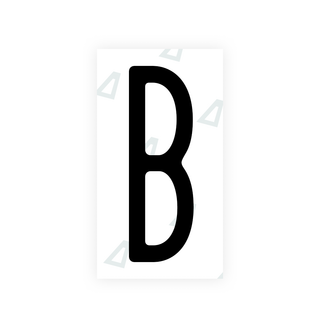 Nanofilm Ecoslick™ for US (New York 2020) license plates - Symbol "B"