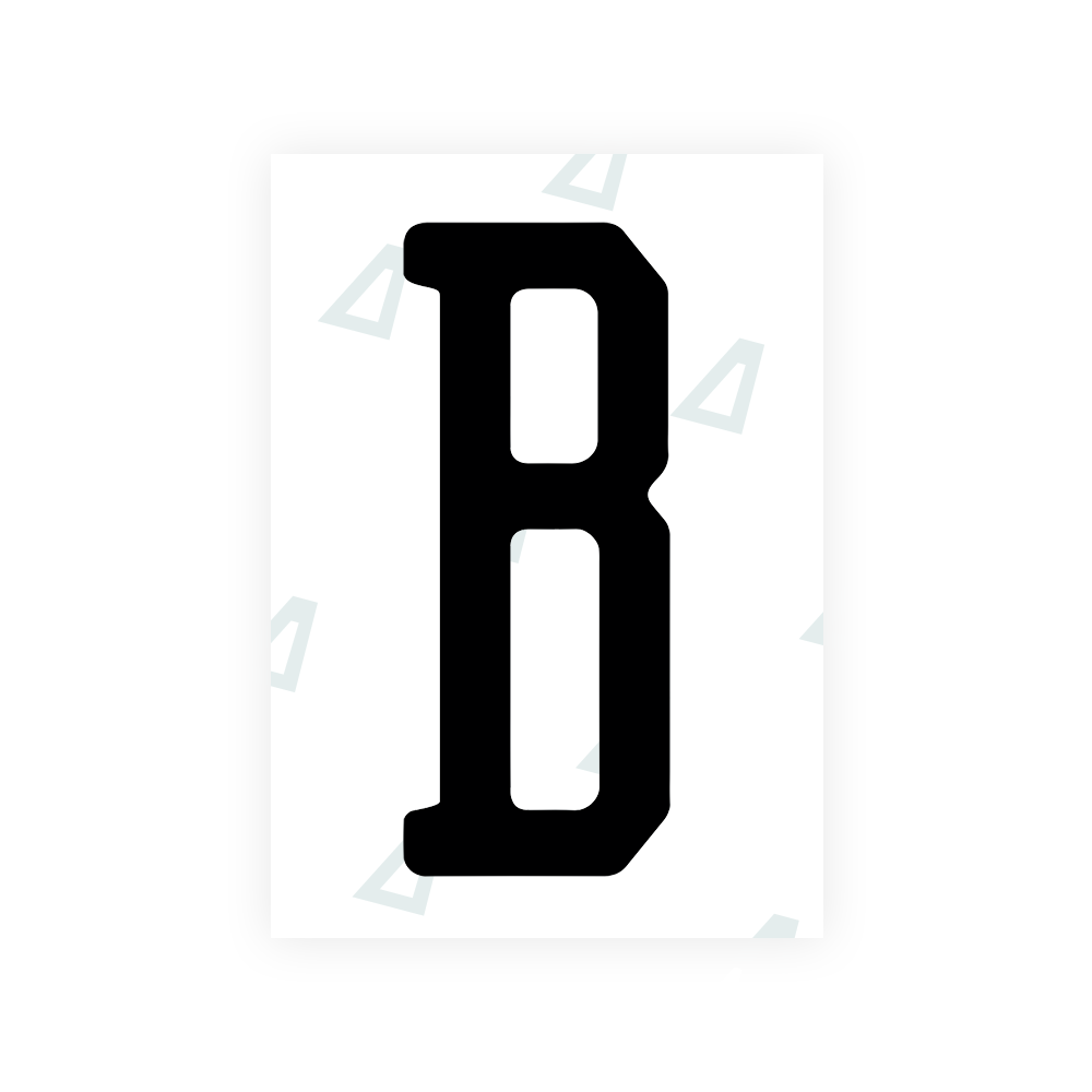 Nanofilm Ecoslick™ for US (Florida 2019) license plates - Symbol "B"