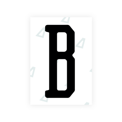 Nanofilm Ecoslick™ for US (Florida 2019) license plates - Symbol "B"