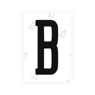 Nanofilm Ecoslick™ for US (Arizona 2008) license plates - Symbol "B"